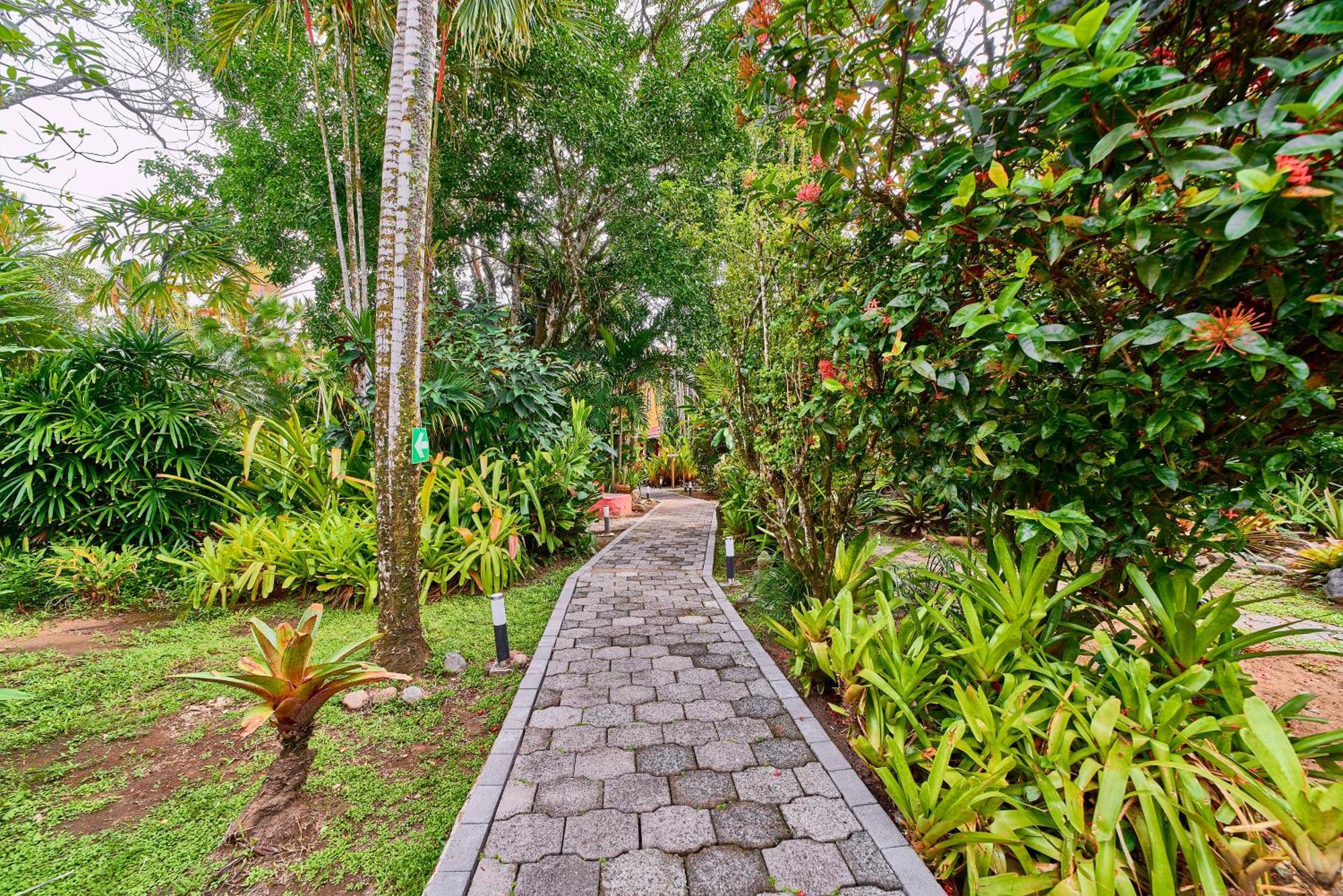 Hotel El Encanto กาอุยตา ภายนอก รูปภาพ